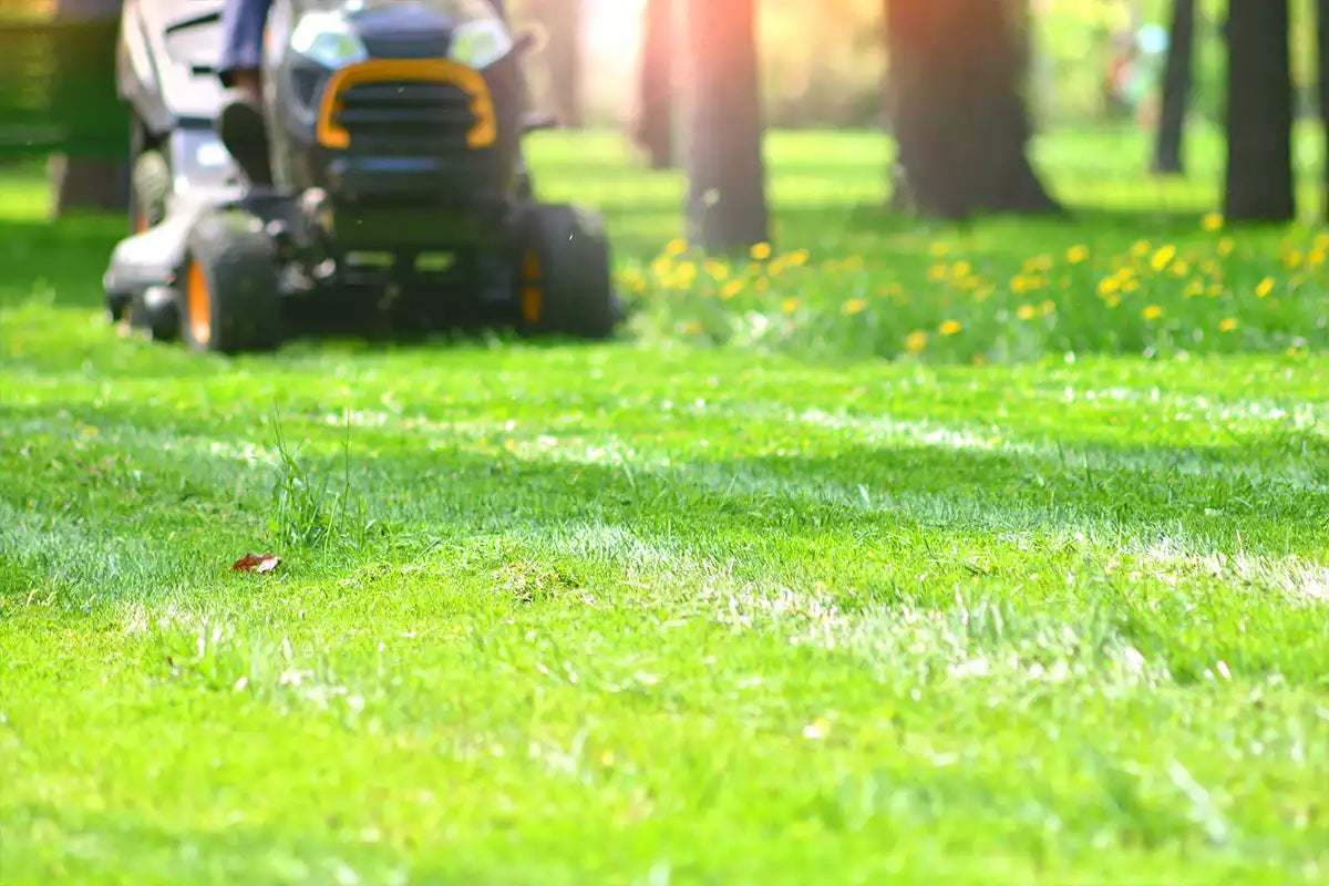 Prepare Outdoor Vehicles for Spring